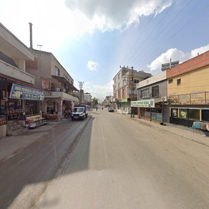 Fotoğraf 6