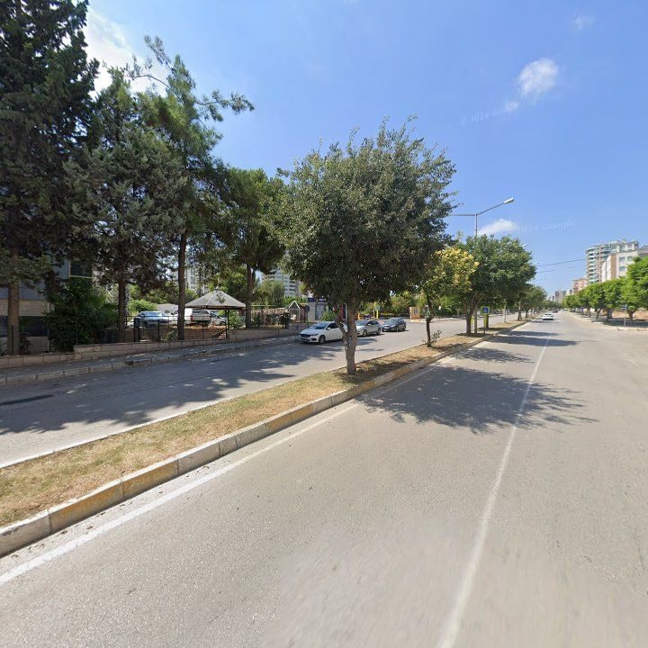 Fotoğraf 10