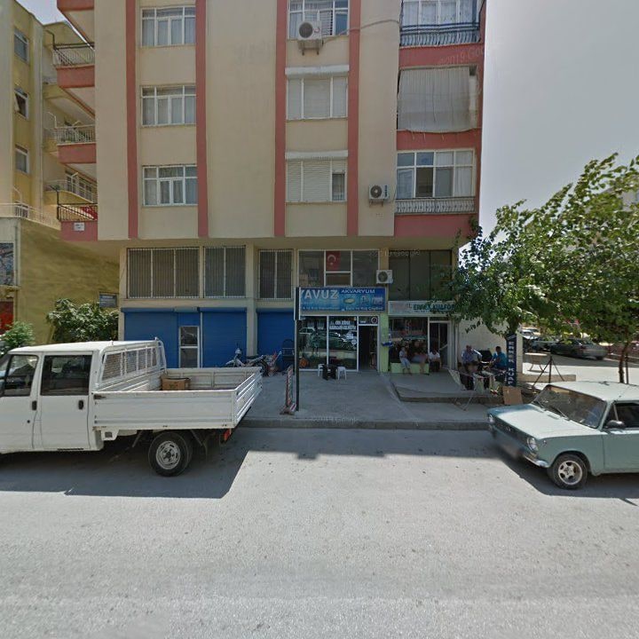 Fotoğraf 6