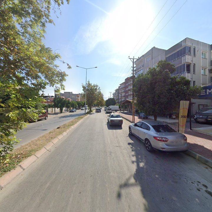 Fotoğraf 5