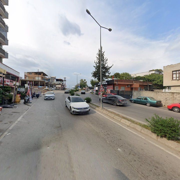 Fotoğraf 12