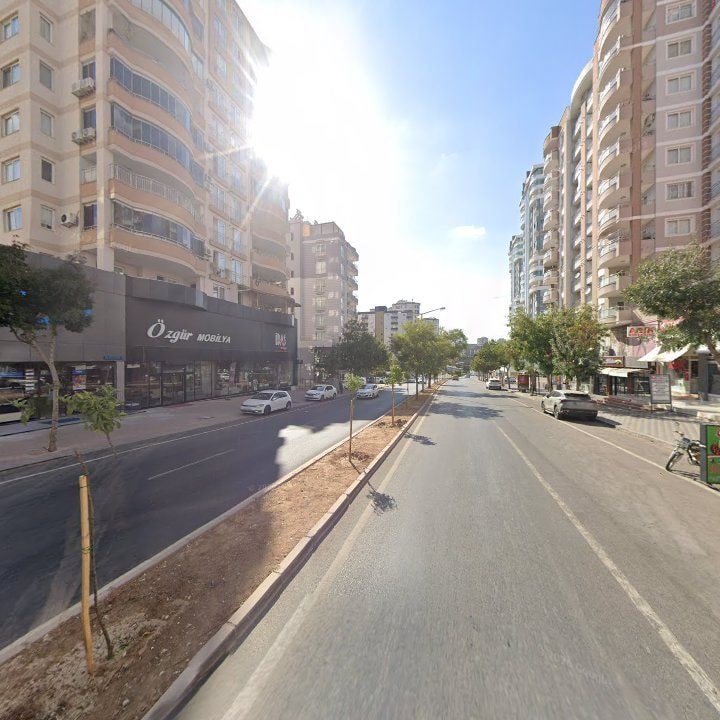Fotoğraf 11