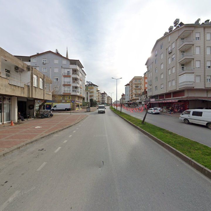 Fotoğraf 6