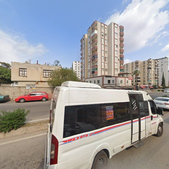 Fotoğraf 13