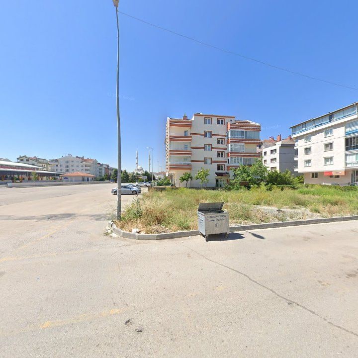 Fotoğraf 7