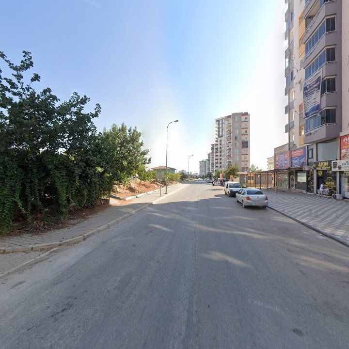 Fotoğraf 7