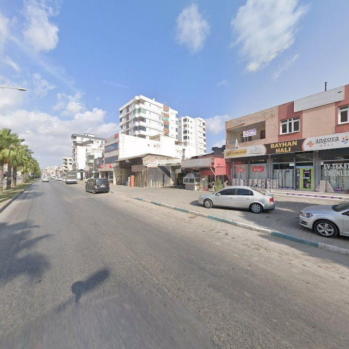Fotoğraf 10