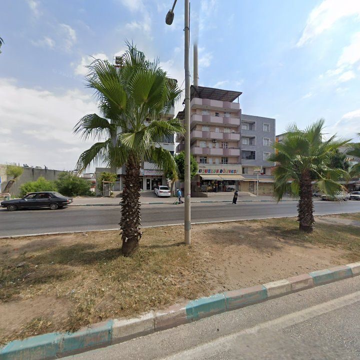 Fotoğraf 9