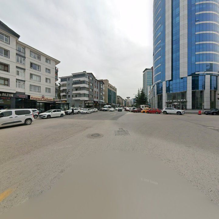Fotoğraf 12