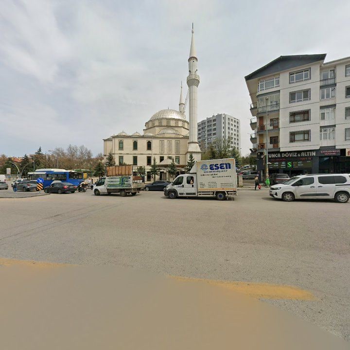 Fotoğraf 11