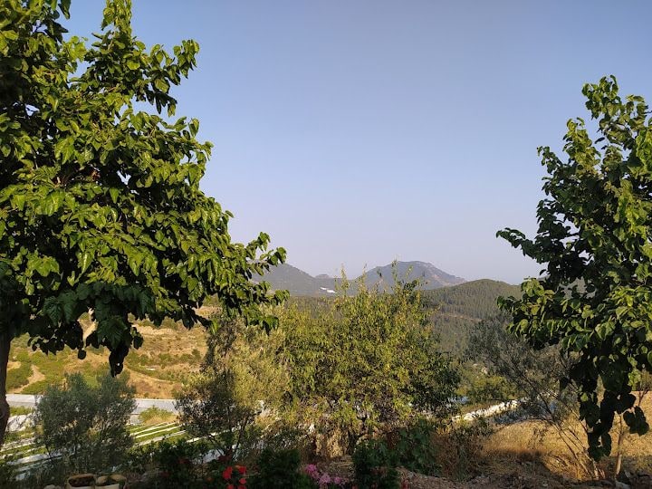 Osmanlar Arat Ailesi
