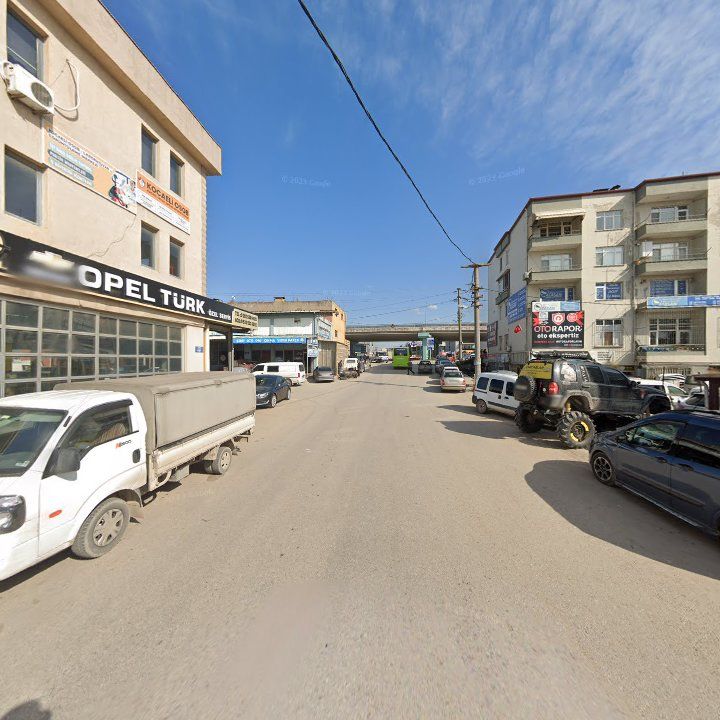 Fotoğraf 7