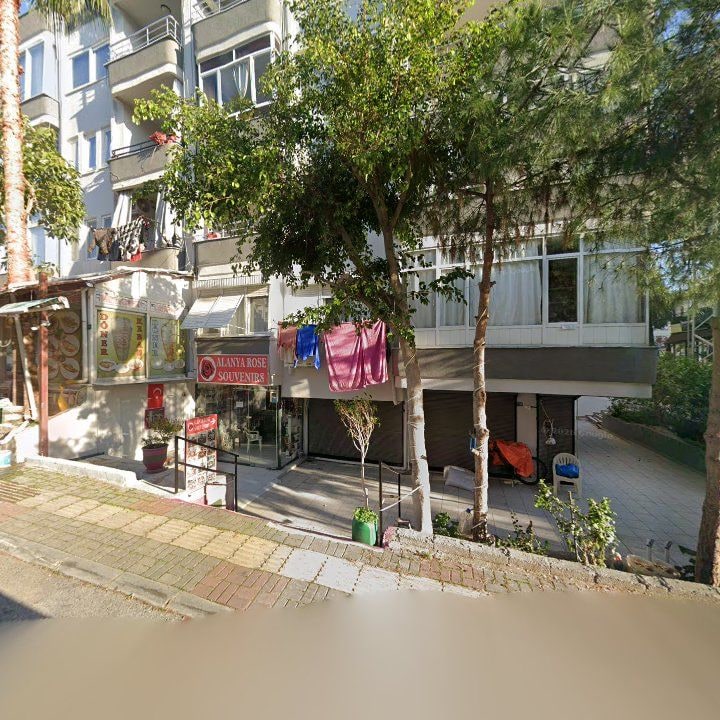 Fotoğraf 8