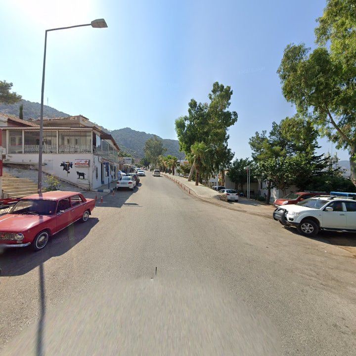 Fotoğraf 13
