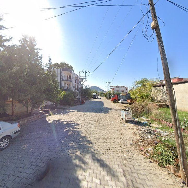 Fotoğraf 3