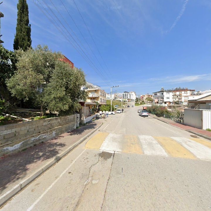 Fotoğraf 5