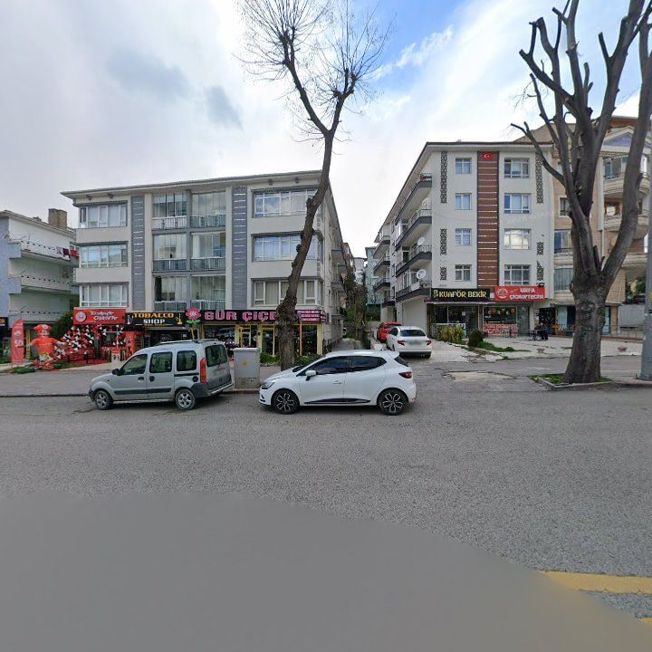 Fotoğraf 3