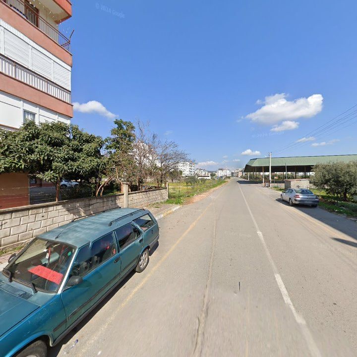 Fotoğraf 7