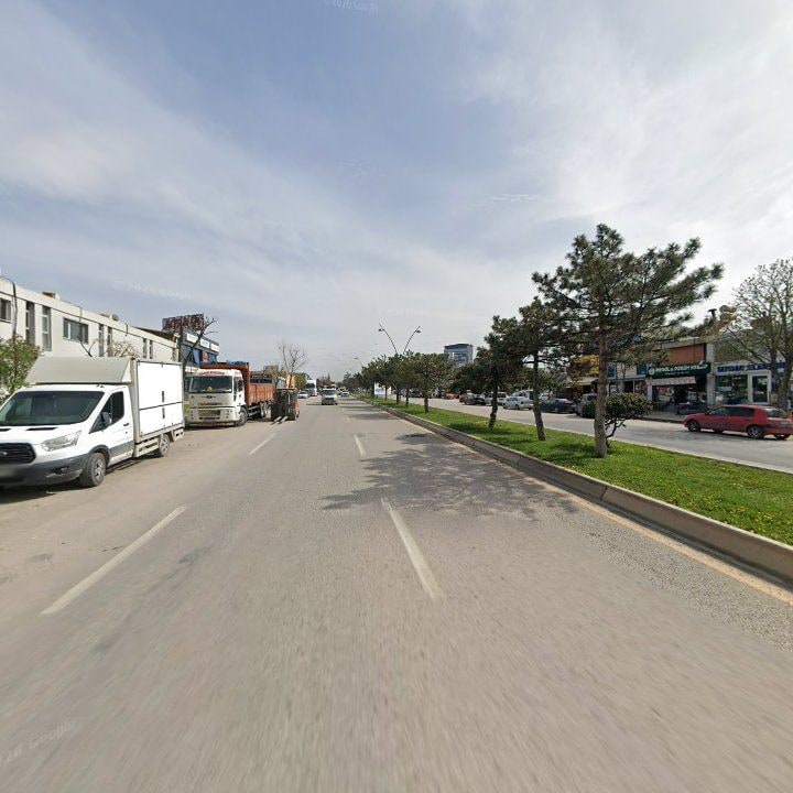 Fotoğraf 11