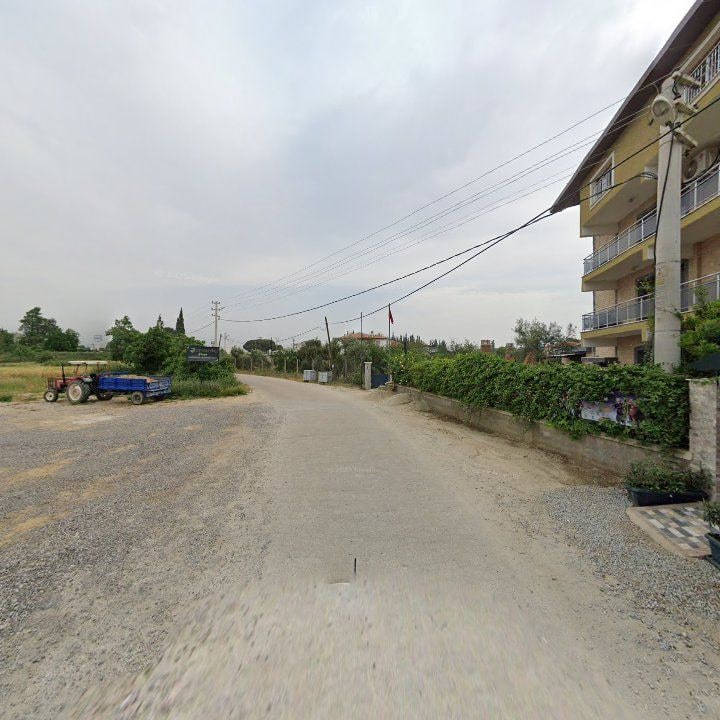 Fotoğraf 9