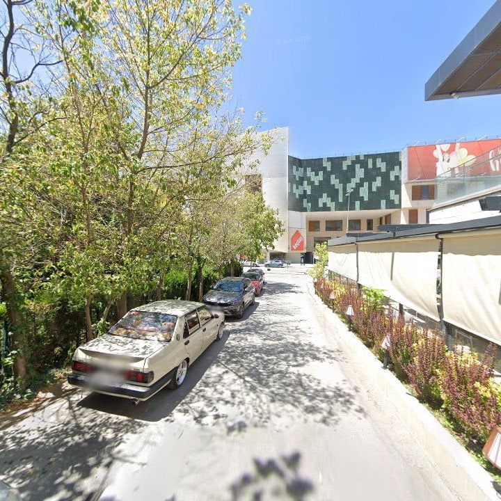 Fotoğraf 11