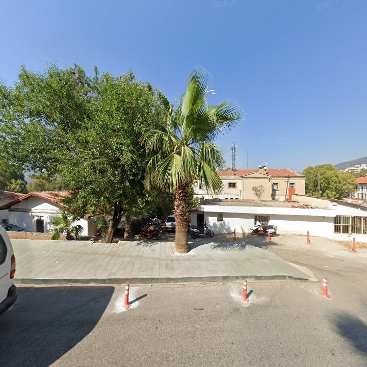 Fotoğraf 9