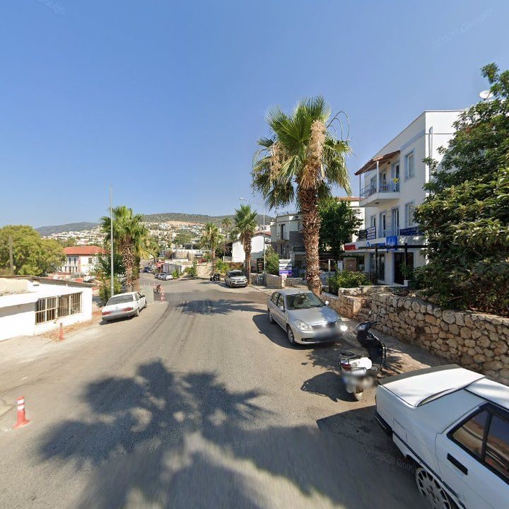 Fotoğraf 10
