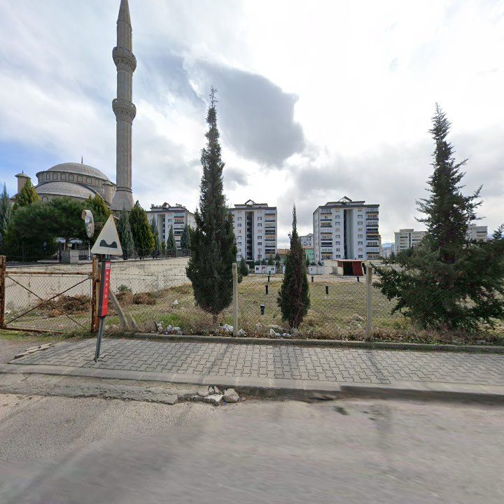 Fotoğraf 8