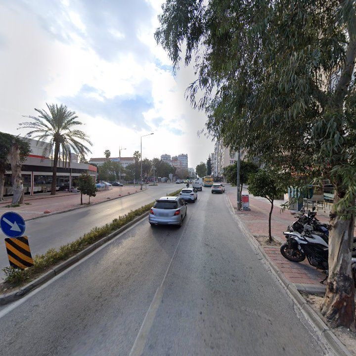 Fotoğraf 9