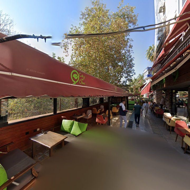 Fotoğraf 12