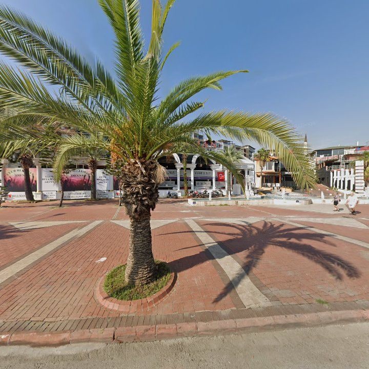 Fotoğraf 7