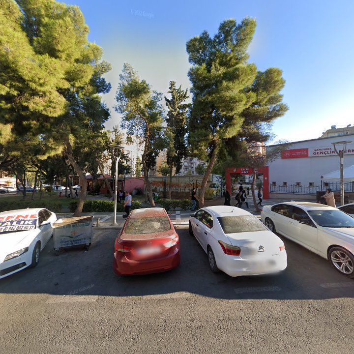 Fotoğraf 8