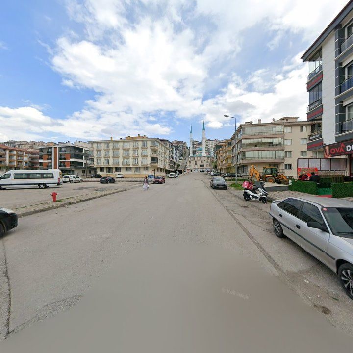 Fotoğraf 9