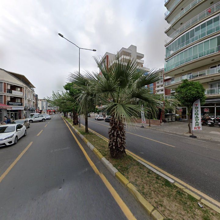 Fotoğraf 8