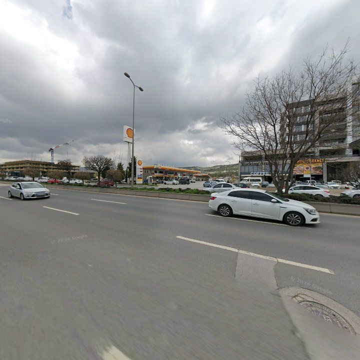 Fotoğraf 9