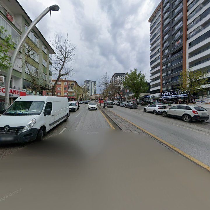 Fotoğraf 12