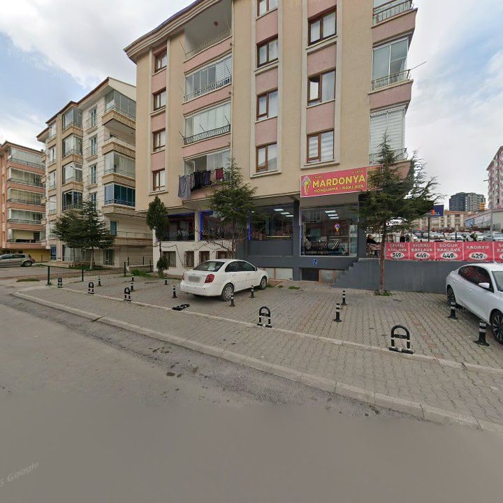 Fotoğraf 9