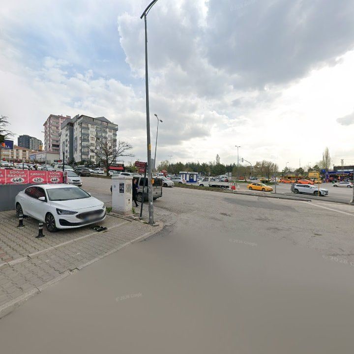 Fotoğraf 10