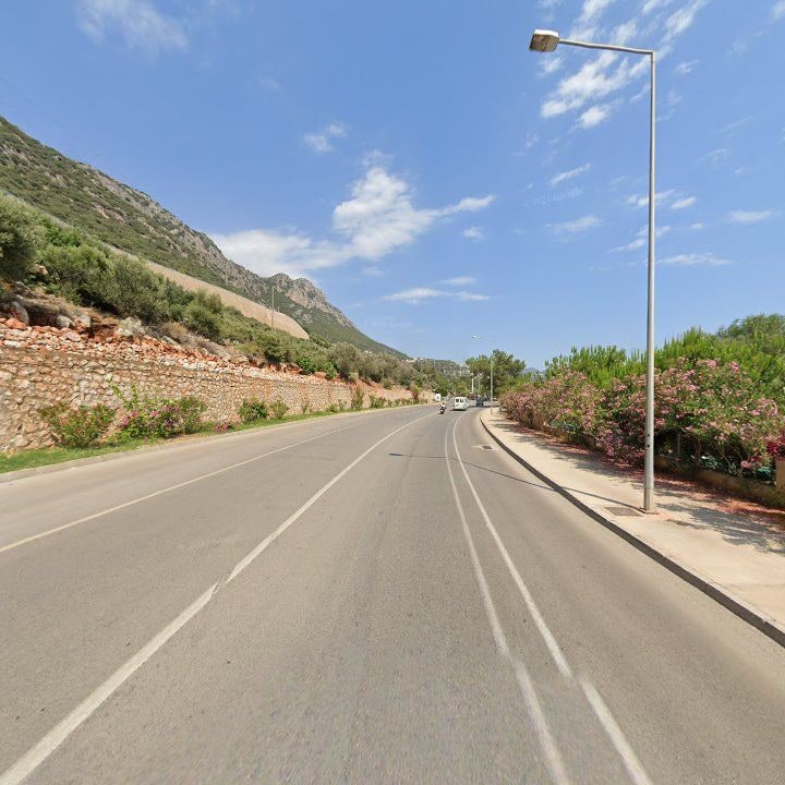 Fotoğraf 12