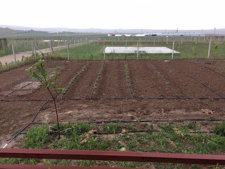 Oyaca Bereket Hobi Bahçeleri