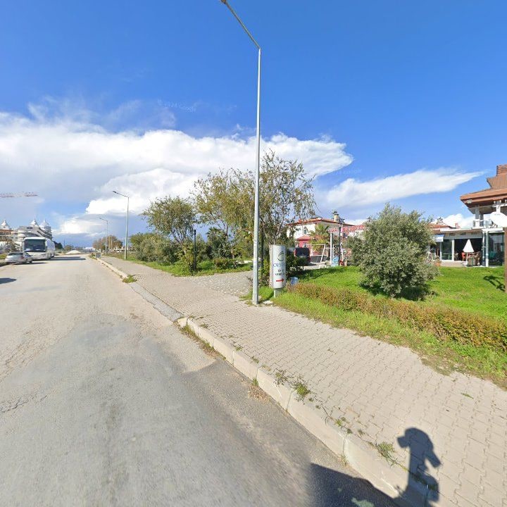 Fotoğraf 12