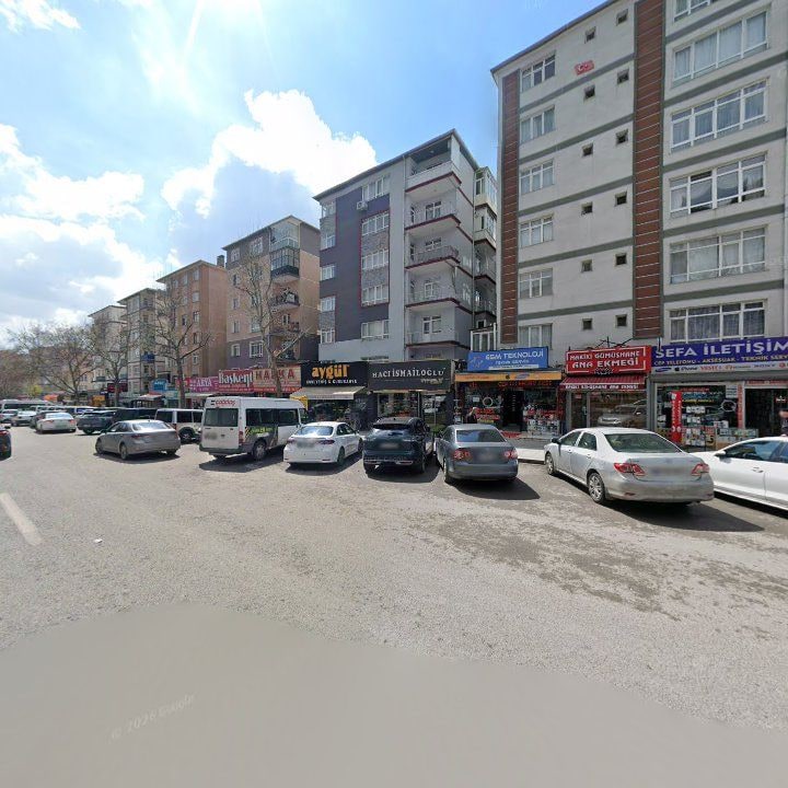 Fotoğraf 8