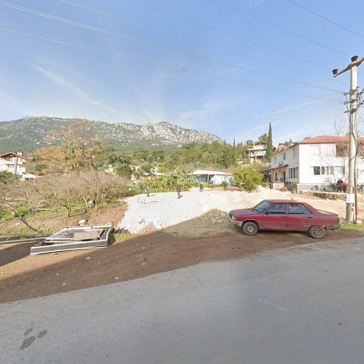 Fotoğraf 10