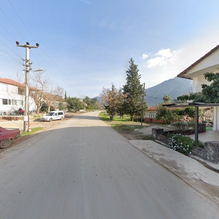 Fotoğraf 11