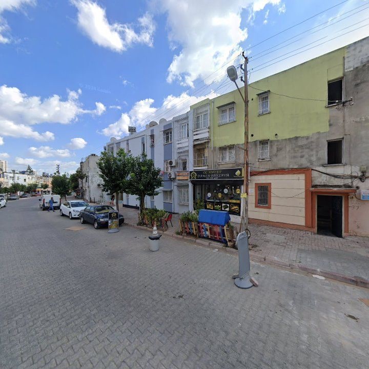 Fotoğraf 7