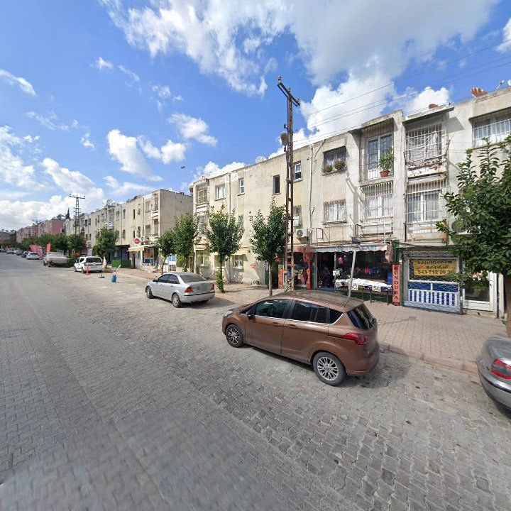 Fotoğraf 9
