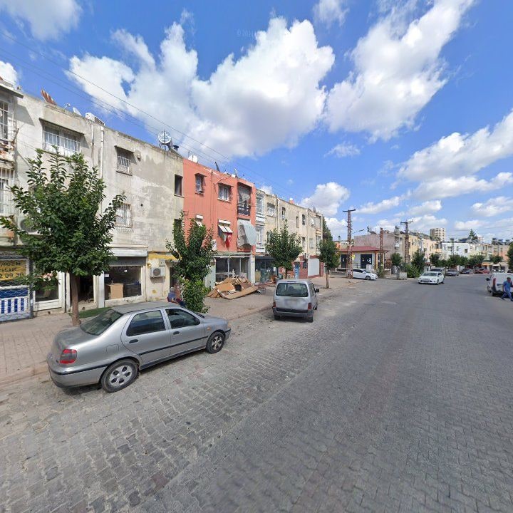Fotoğraf 10