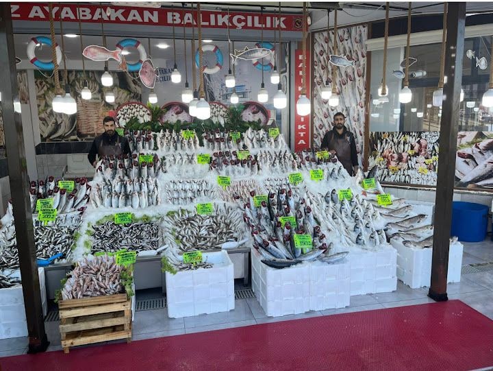 Öz Ayabakan Balıkçılık