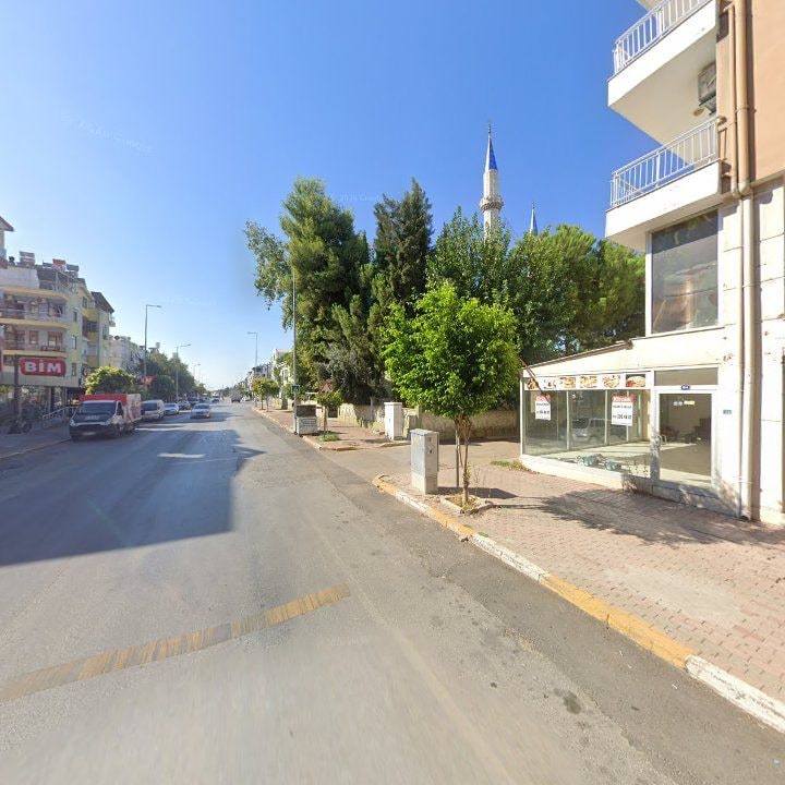 Fotoğraf 6