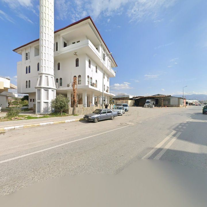 Fotoğraf 8